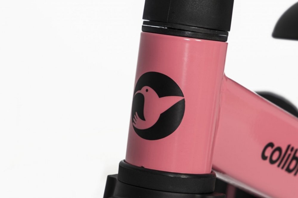Colibro Tricicleta pentru copii Tremix Rose transformabila 4 in 1 Ride On cu scaun reglabil roti din cauciuc pana la 25 kg