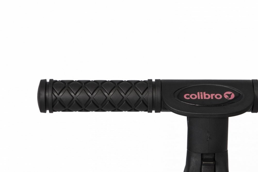 Colibro Tricicleta pentru copii Tremix Rose transformabila 4 in 1 Ride On cu scaun reglabil roti din cauciuc pana la 25 kg