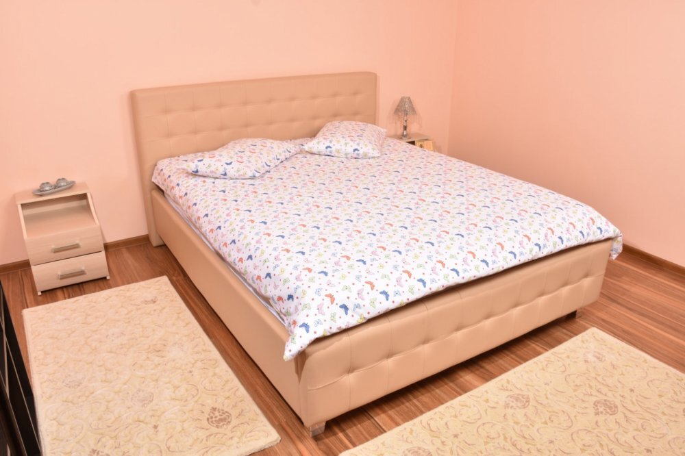Confort Family Lenjerie din bumbac pentru pat dublu model fluturasi