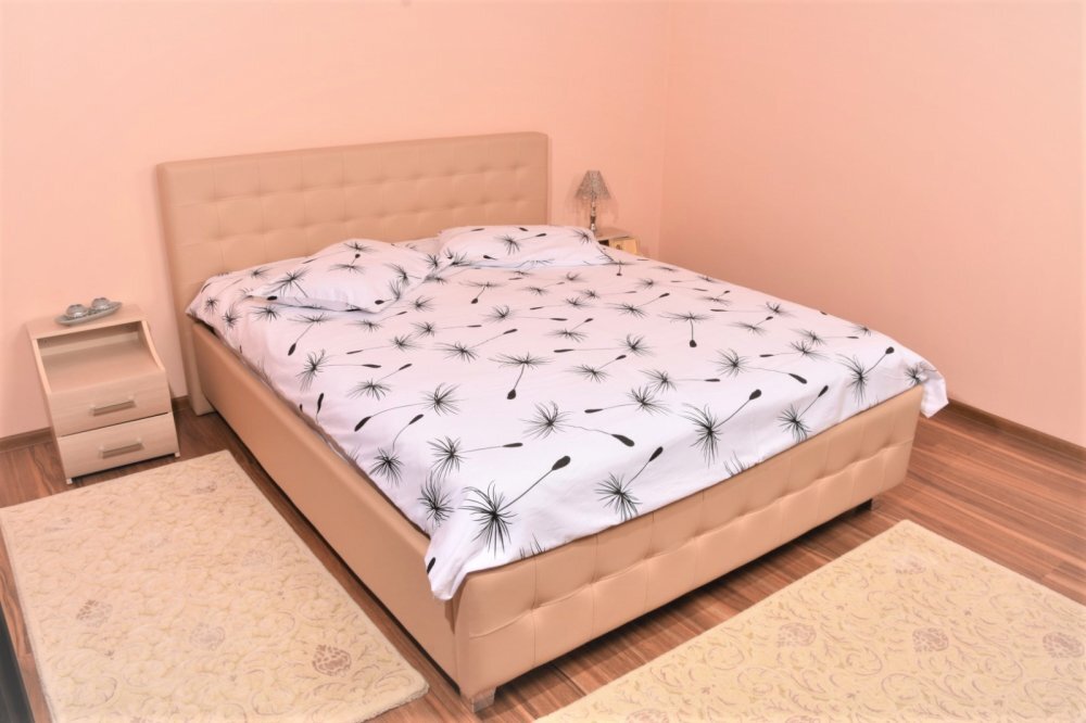 Confort Family Lenjerie din bumbac pentru pat dublu model papadii