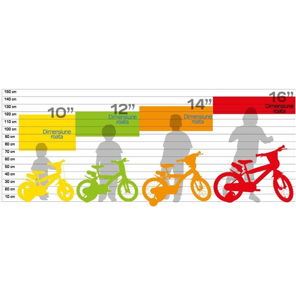 DINO BIKES Bicicleta 12 Flash 612FH