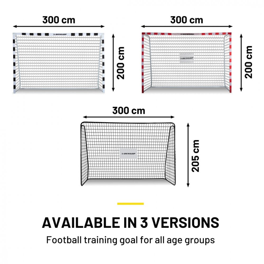 Dunlop Poarta de fotbal 300x200x110 cm