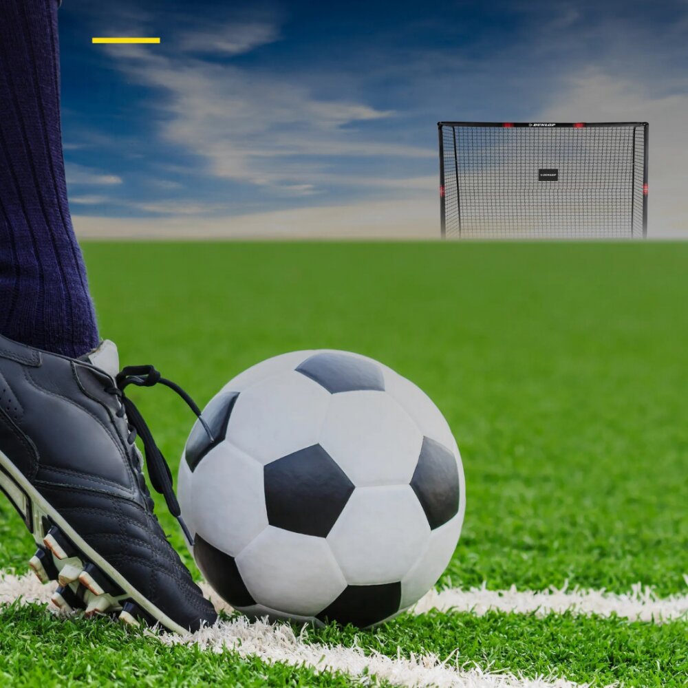 Dunlop Poarta de fotbal 300x200x120 cm