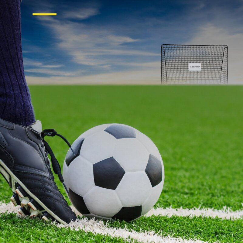Dunlop Poarta de fotbal 300x205x120 cm