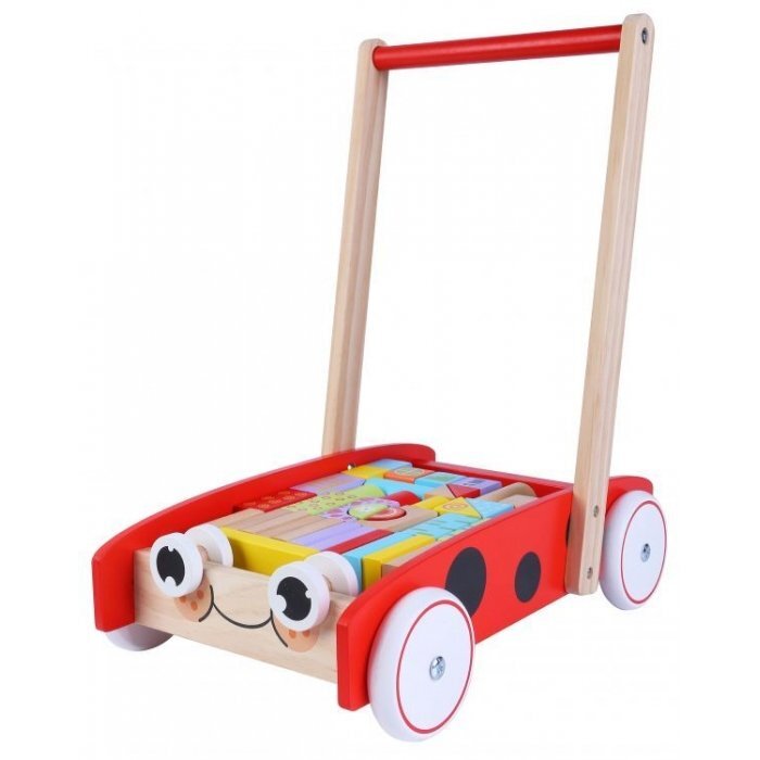 Ecotoys Antemergator din lemn + 40 de cuburi 2112 Buburuza