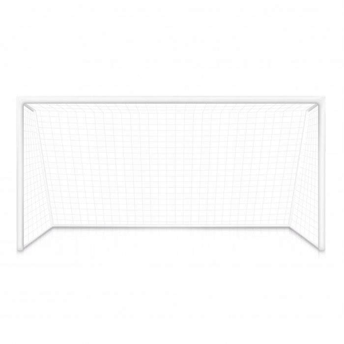 Ecotoys Poarta de fotbal 300 x 90 x 160 cm