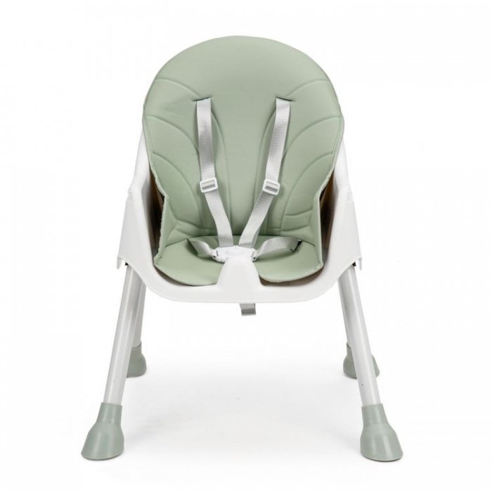 Ecotoys Scaun de masa 2 in 1 Green