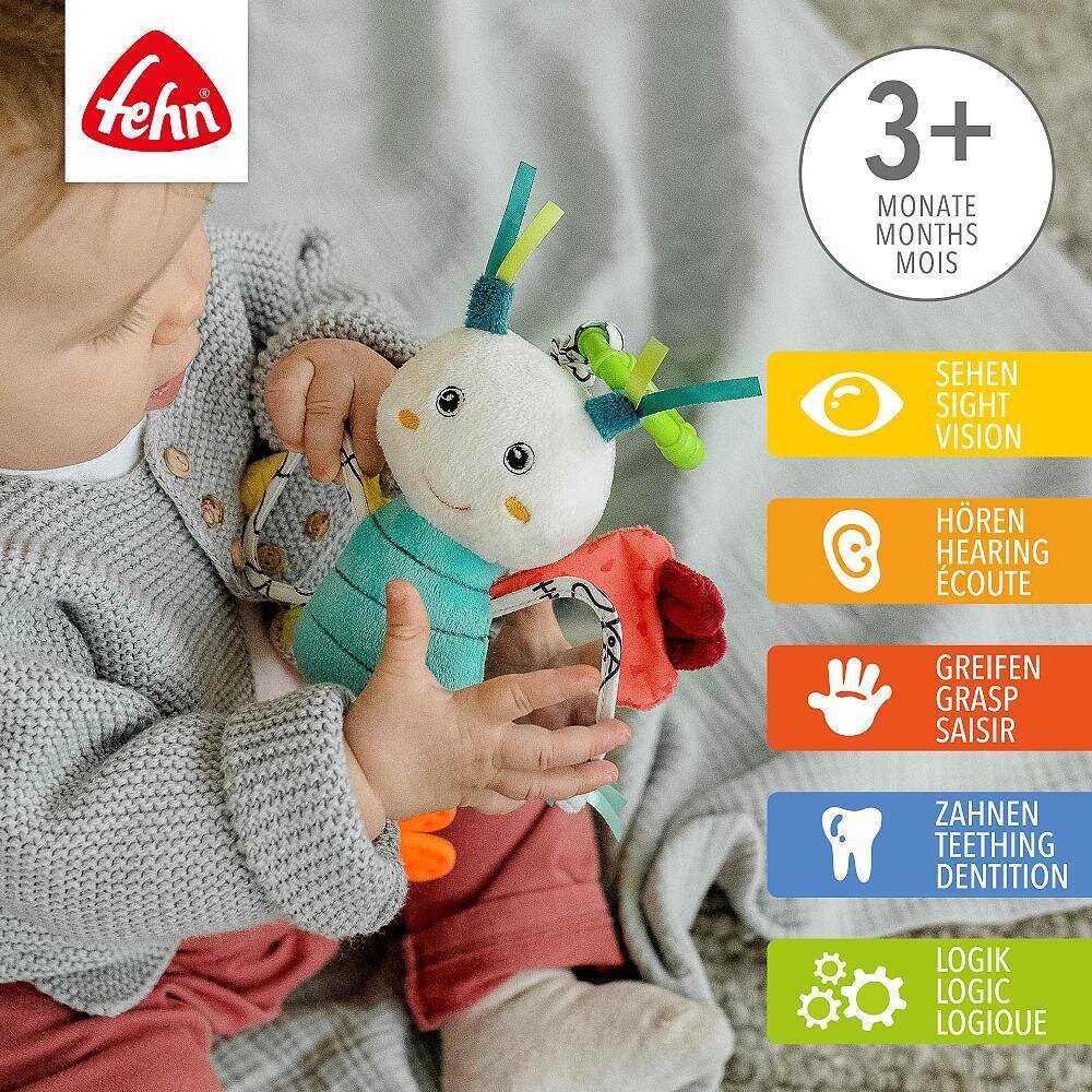 Fehn Centru de activitati Fluturas