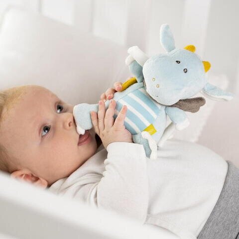 Fehn Jucarie muzicala Dragon