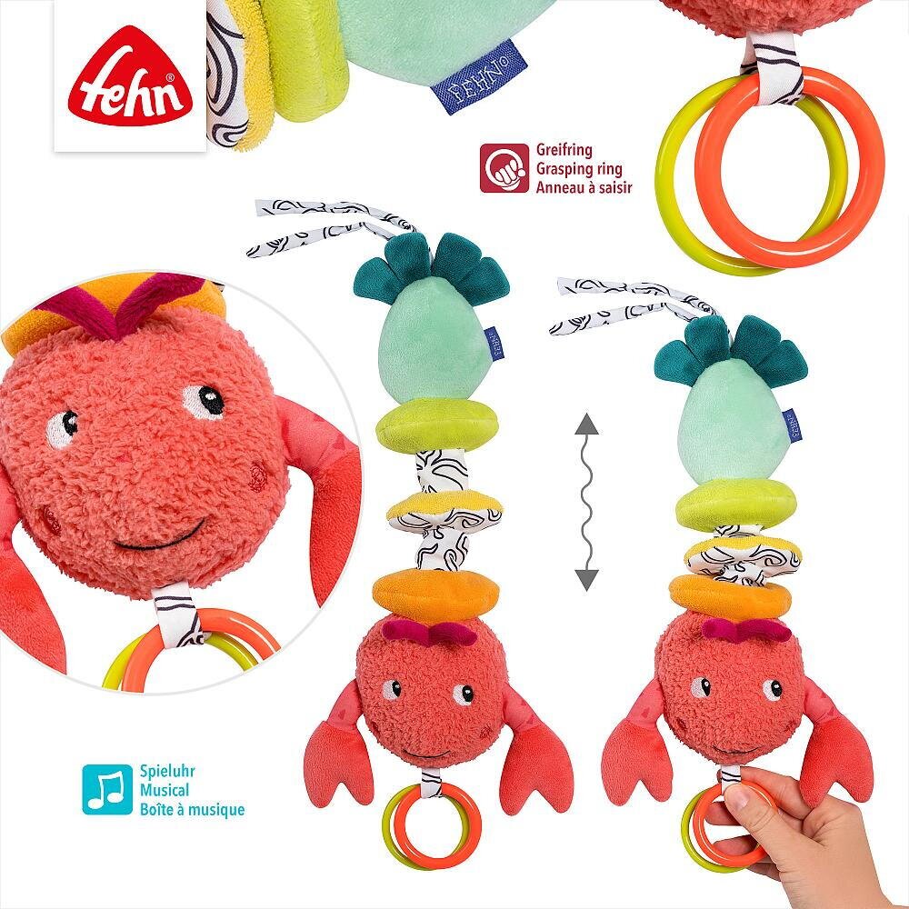 Fehn Jucarie muzicala racul vesel