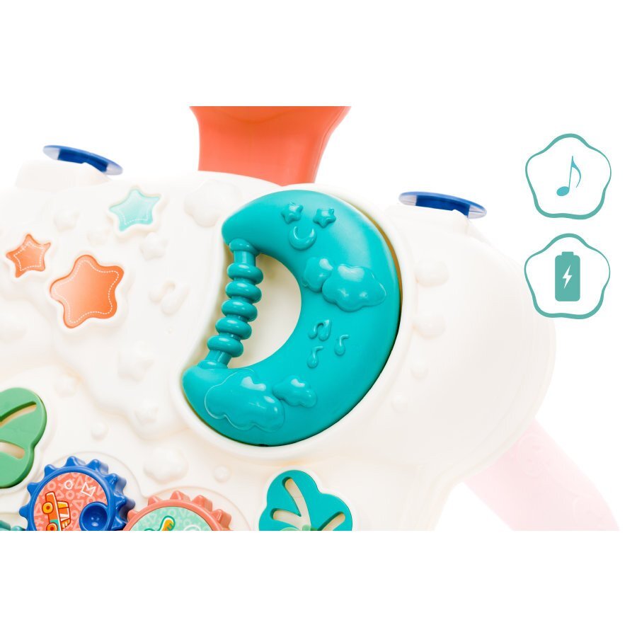 FILLIKID Jucarie ante-premergator cu activitati rose