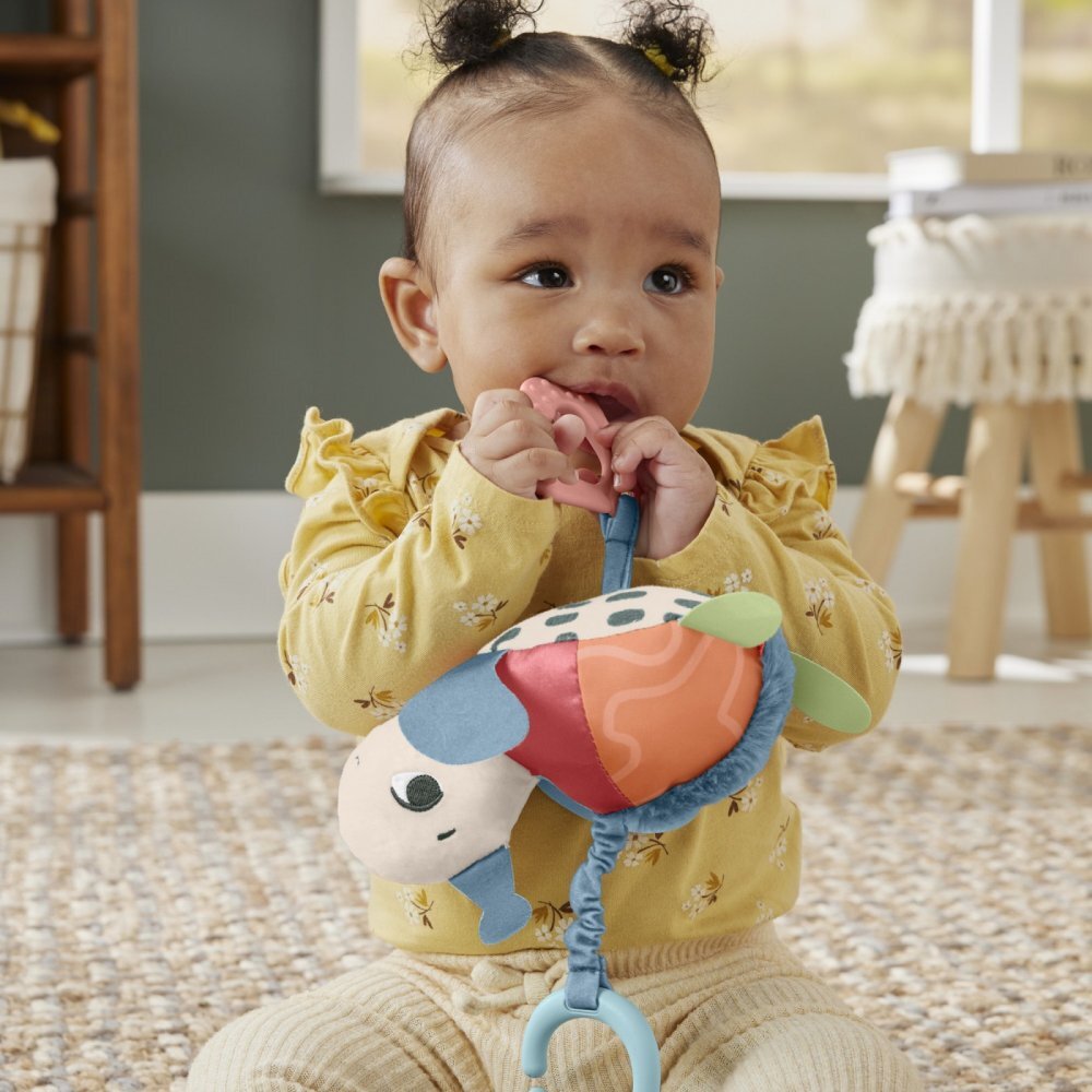 FISHER PRICE Jucarie de agatat broscuta testoasa Planet Friends