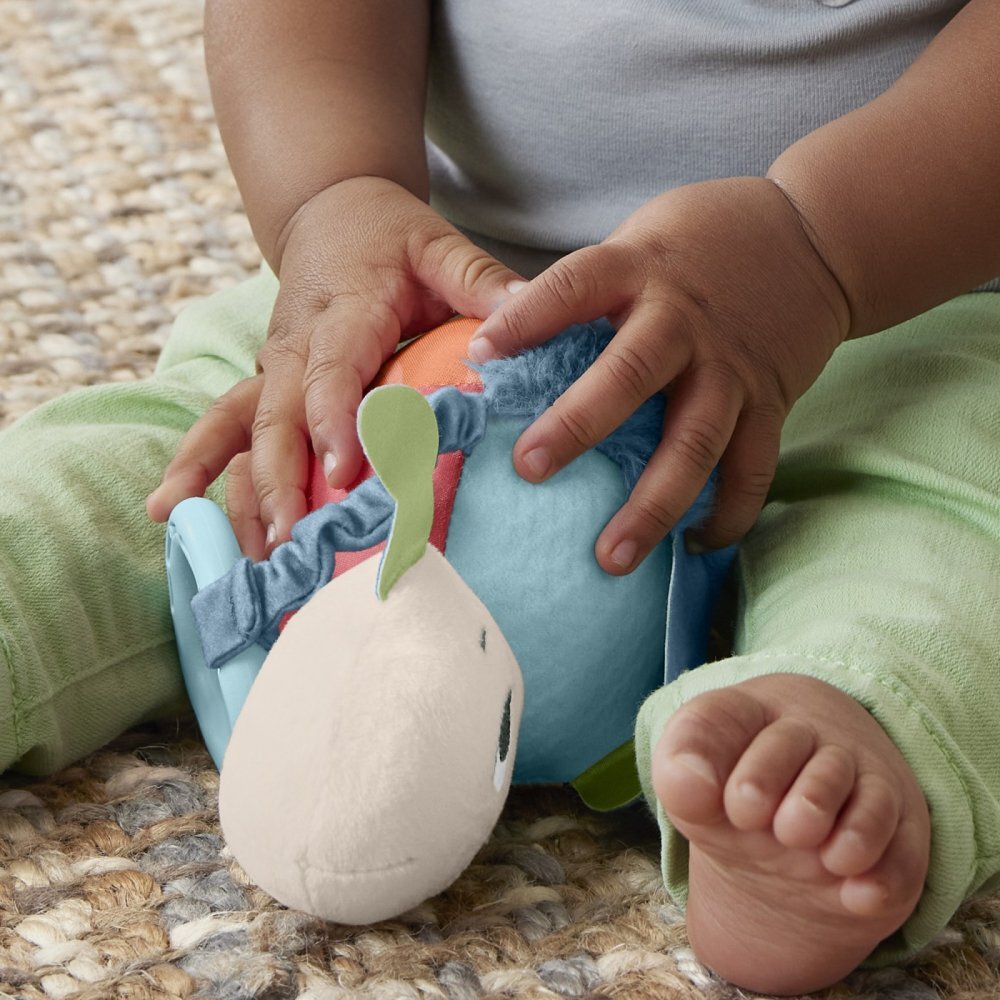 FISHER PRICE Jucarie de agatat broscuta testoasa Planet Friends