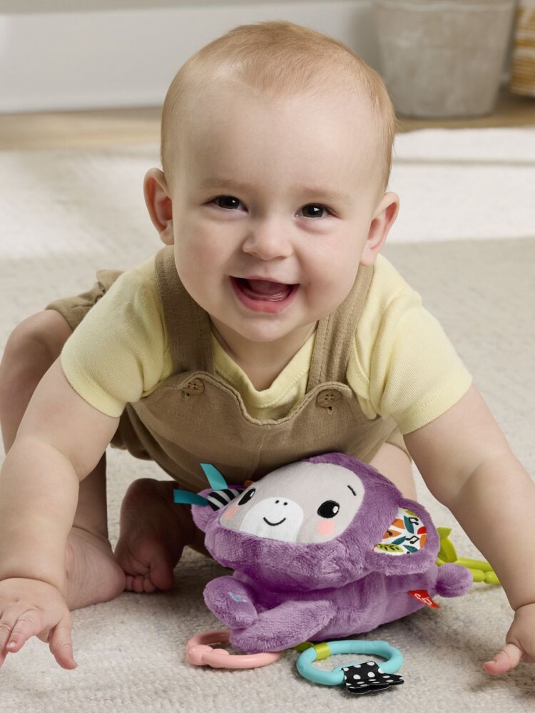 FISHER PRICE Jucarie de agatat Maimutica mov muzicala
