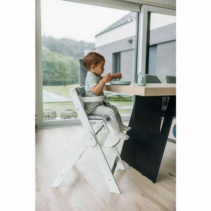 FreeON Scaun de masa Finny Fold White 6 luni-15 kg reglabil pe inaltime pernuta pliabil