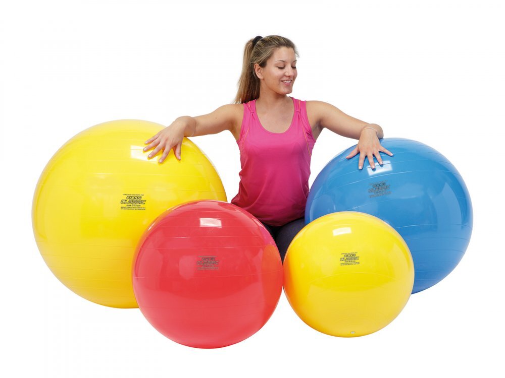 Gymnic Minge fizioterapeutica Clasic Rosu diametru 55 cm