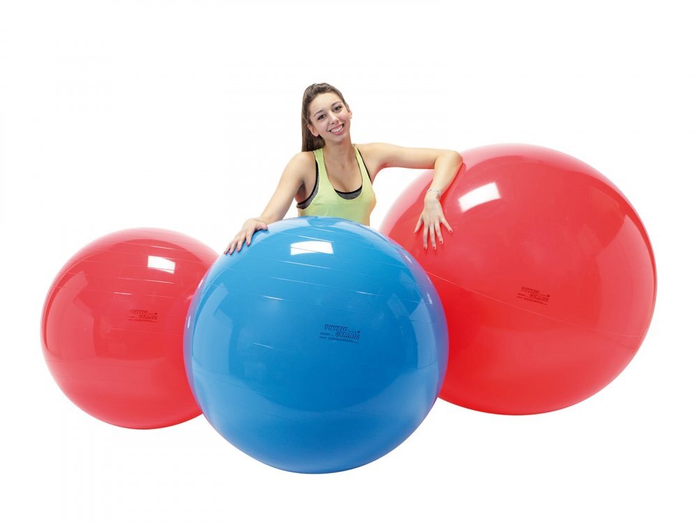 Gymnic Minge fizioterapeutica Fizio Albastru diametru 95 cm