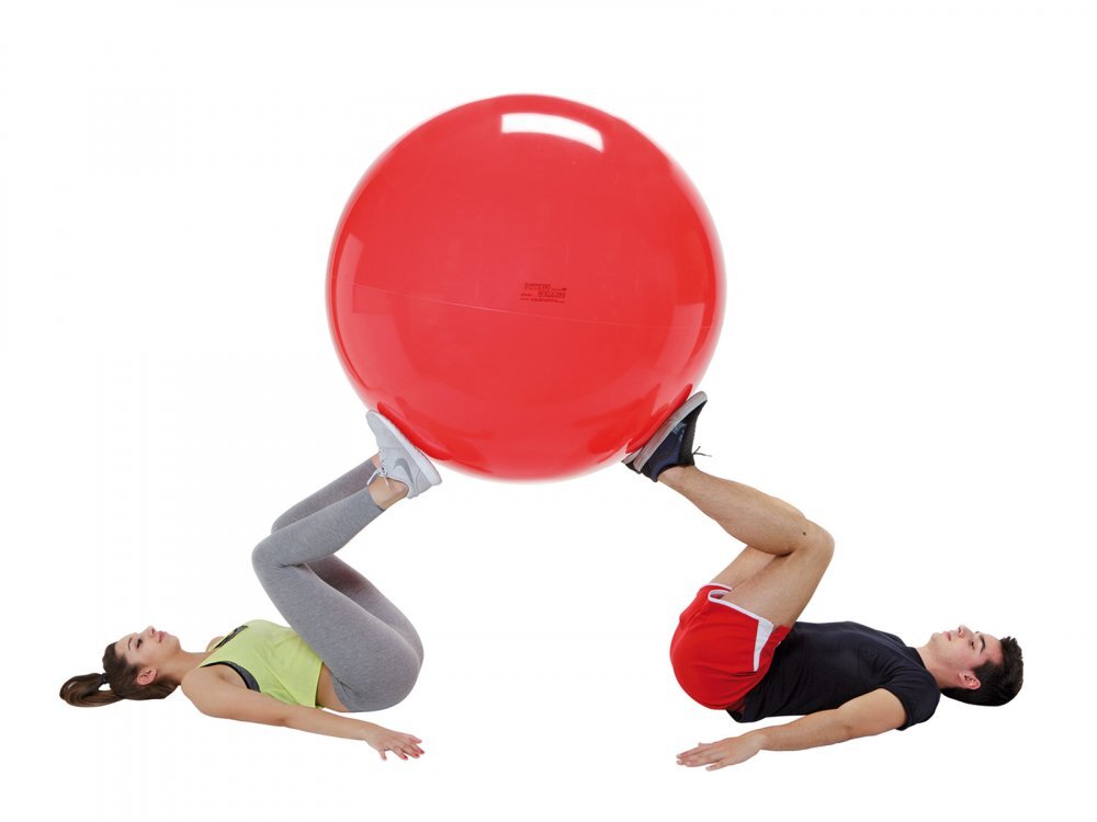 Gymnic Minge fizioterapeutica Physio Rosie diametru 120 cm