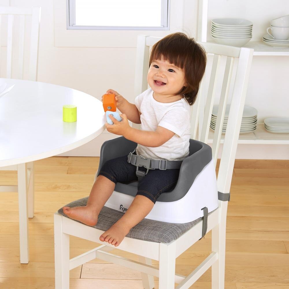 InGenuity Booster Toddler Slate