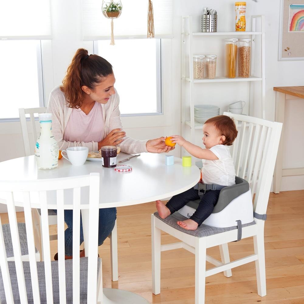 InGenuity Booster Toddler Slate