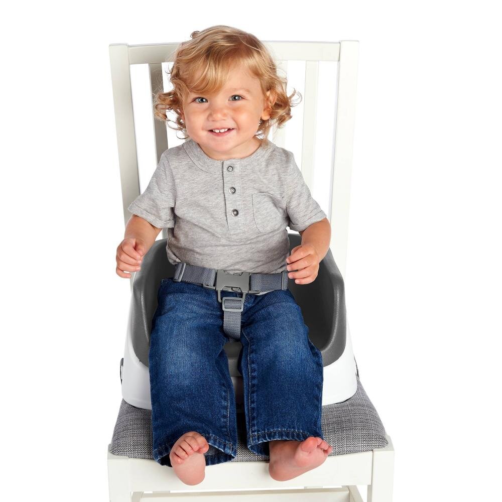 InGenuity Booster Toddler Slate