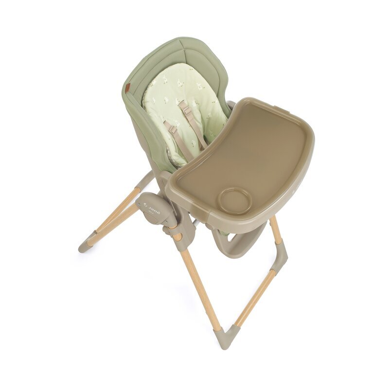 JANE Scaun de masa si balansoar Mila 2 in 1 transformabil si multifunctional 0 luni+ Sage