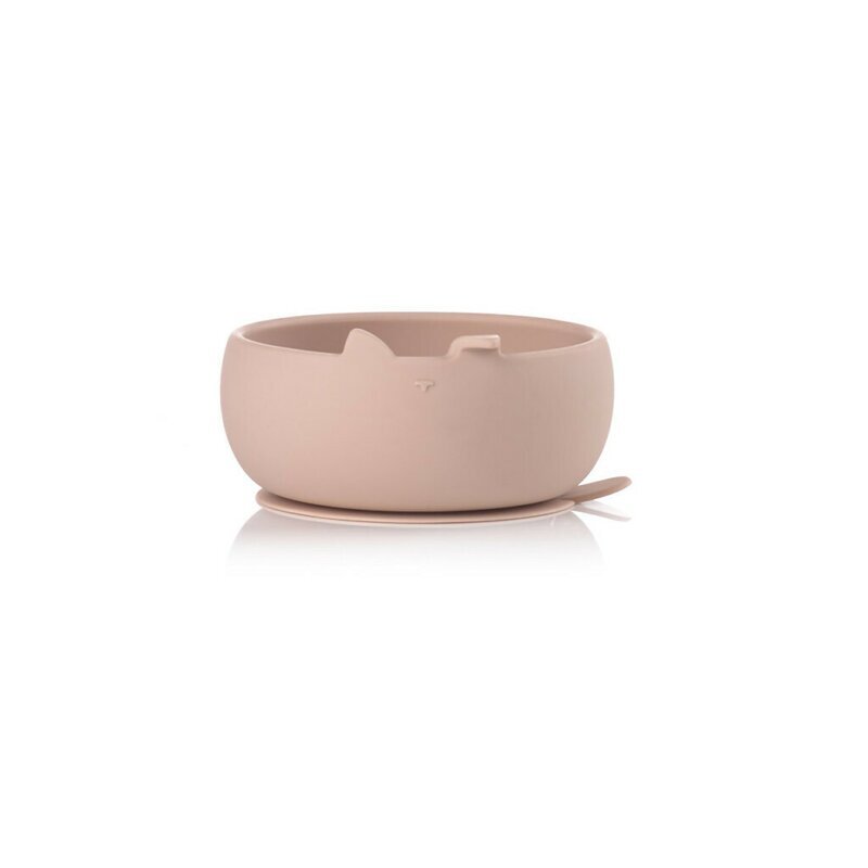JANE Set de masa din silicon cu 2 piese BPA Free Pale