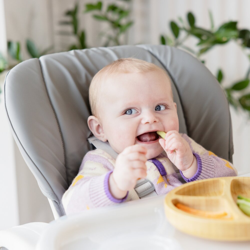 JOIE Scaun de masa Mimzy Recline Strata Dune Wood spatar reglabil in 5 pozitii inaltime ajustabila si tavita reglabiladetasabila centuri greutate suportata 15 kg