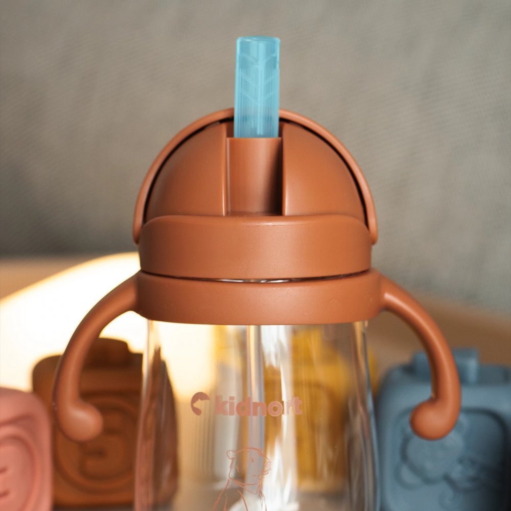 Kidnort Sticluta de apa din tritan pentru copii Bringebaer sterilizabila pai moale din silicon cu biluta gravitationala maner ergonomic capacitate 240 ml Brown