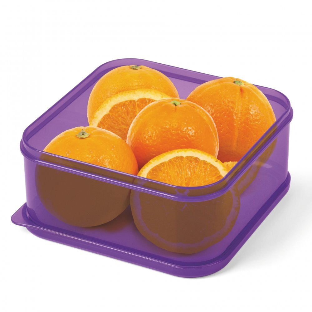Lebez Set 4 caserole pranz din tritan transparent