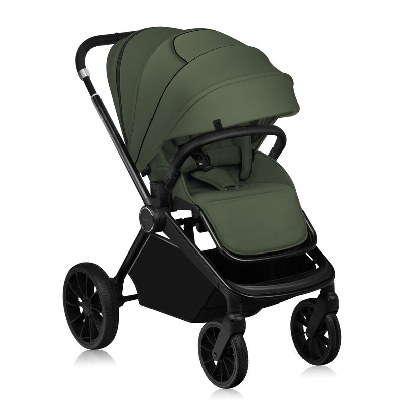 Lionelo Carucior 2 in 1 Mika Plus Cadru din aluminiu Cu landou intarit si salteluta moale Reversibil Cu sistem de ventilatie 3D Cu accesorii Sarcina maxima 22 kg Standard de siguranta EN1888-1 verde