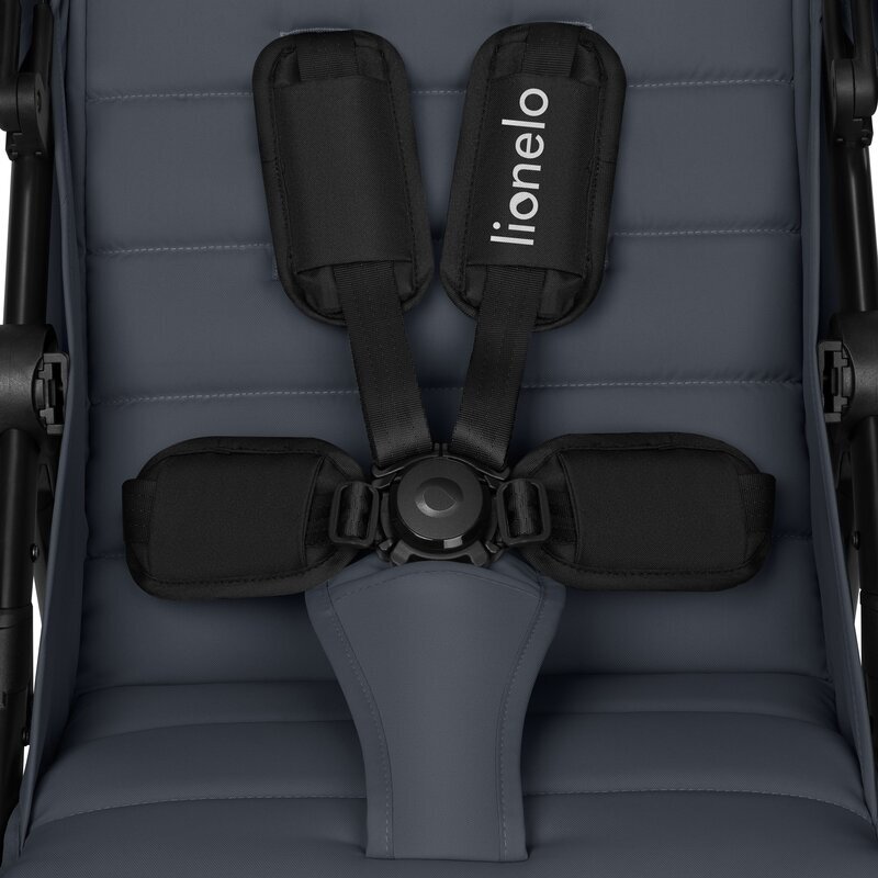 Lionelo Carucior pentru copii Iva Gri sport sustine 22 kg spatar reglabil suspensii maner ajustabil