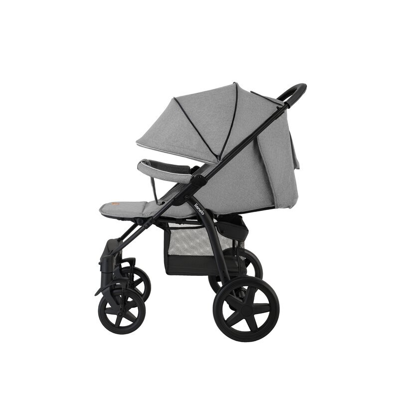 Lionelo Carucior sport Annet plus de la nastere cu accesorii 0- 22 kg gri