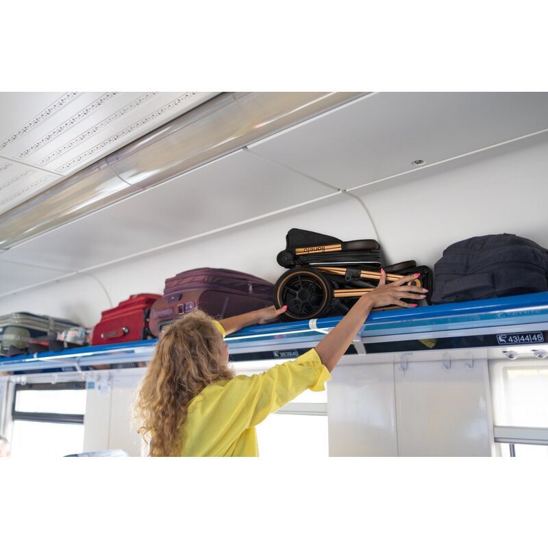 Lionelo Carucior sport Cloe Golden Moments Editie limitata Cu accesorii Cadru din aluminiu Sarcina maxima 22 kg Usor Pliere compacta pentru avion cu o singura mana Ideal pentru toate tipurile de suprafete 6 luni+ Negru