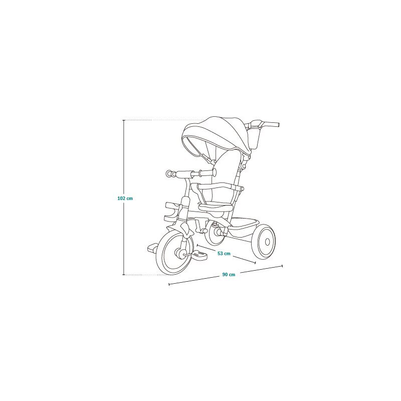 Lionelo Tricicleta pentru copii Berry Gri 2 in 1 multifunctionala rotire 360 grade functie de roata libera utilizare pana la 5 ani constructie din otel conform cu standardul EN71