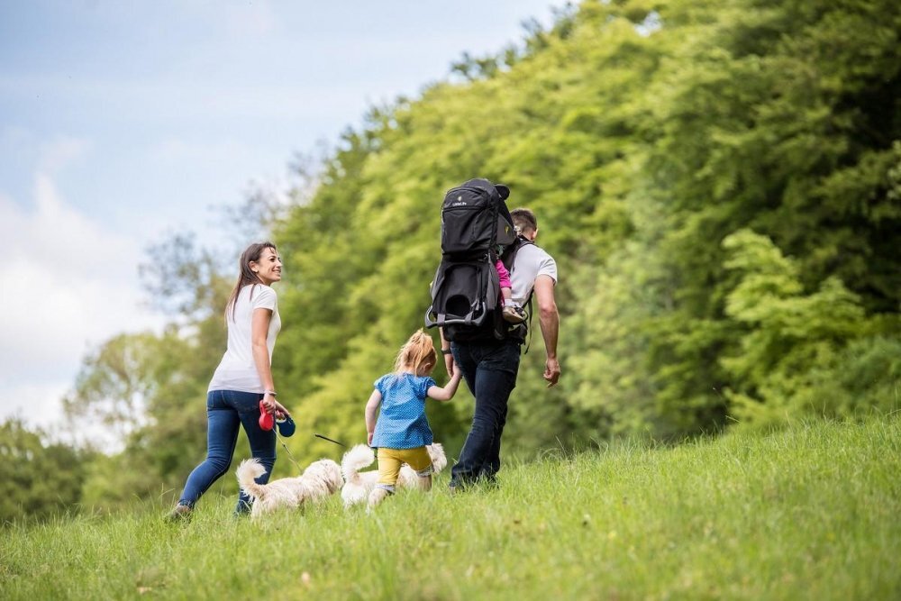 LITTLELIFE Rucsac pentru Transportul Copiilor Voyager S5