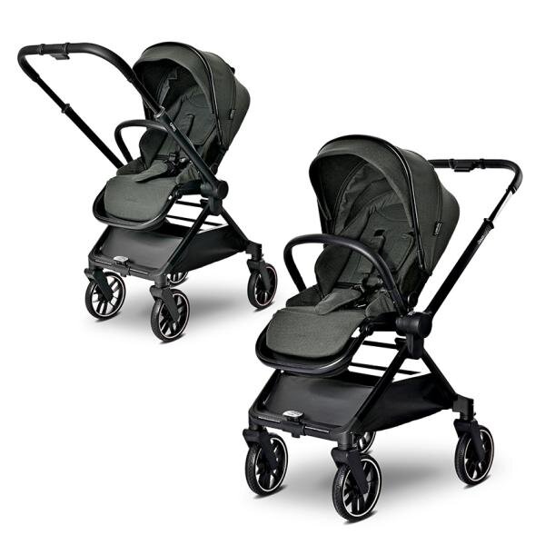 LORELLI Carucior 2 in 1 pentru copii Reya Green cadru din aluminiu suspensii geanta cos individual cu maner de transport maner si sezut reversibile greutate suportata 22 kg
