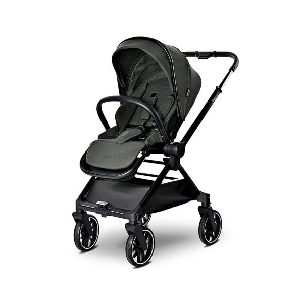 LORELLI Carucior 2 in 1 pentru copii Reya Green cadru din aluminiu suspensii geanta cos individual cu maner de transport maner si sezut reversibile greutate suportata 22 kg