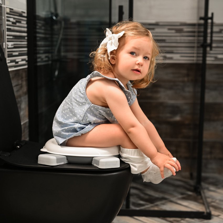 LORELLI Olita pliabila de voiaj 2 in 1 Lucy Grey cu functie reductor WC include geanta de transport si 20 saci de unica folosinta