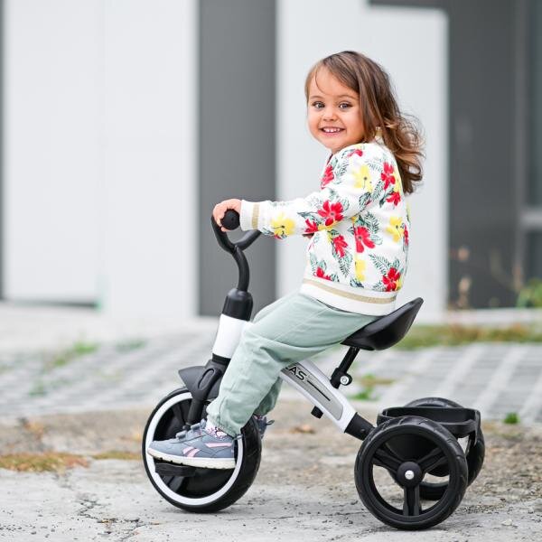 LORELLI Tricicleta pentru copii Dallas Mint 2-6 ani sezut reglabil in inaltime greutate admisa 25 kg