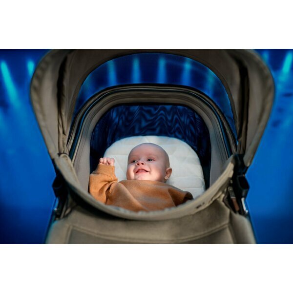 MAXI COSI Carucior pentru copii Maxi-Cosi Fame Twillic Black 2 in 1