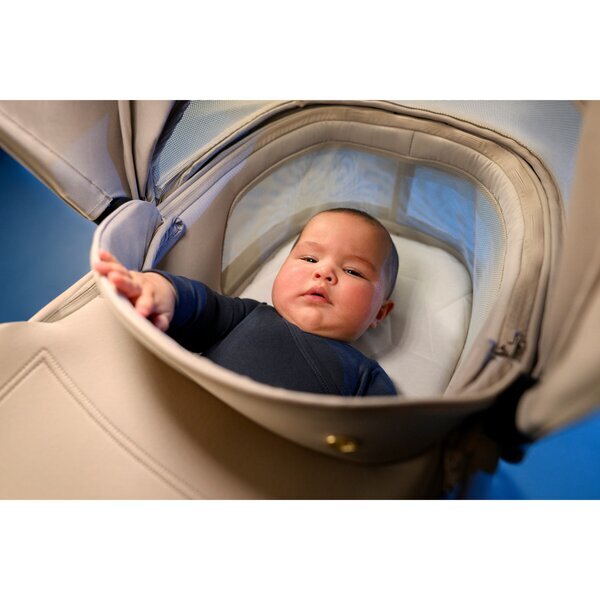 MAXI COSI Landou pentru copii 0-6 luni Maxi-Cosi Cabin Cot Copper Terra 0-9 kg