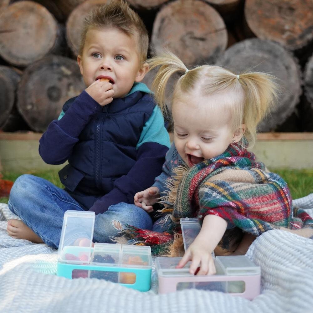 Melii Cutie snack cu 3 compartimente pine green