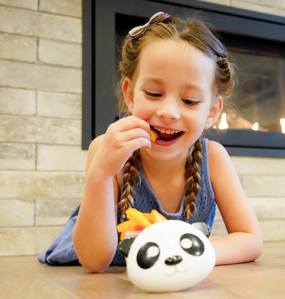 Melii Recipient hrana bebe model panda