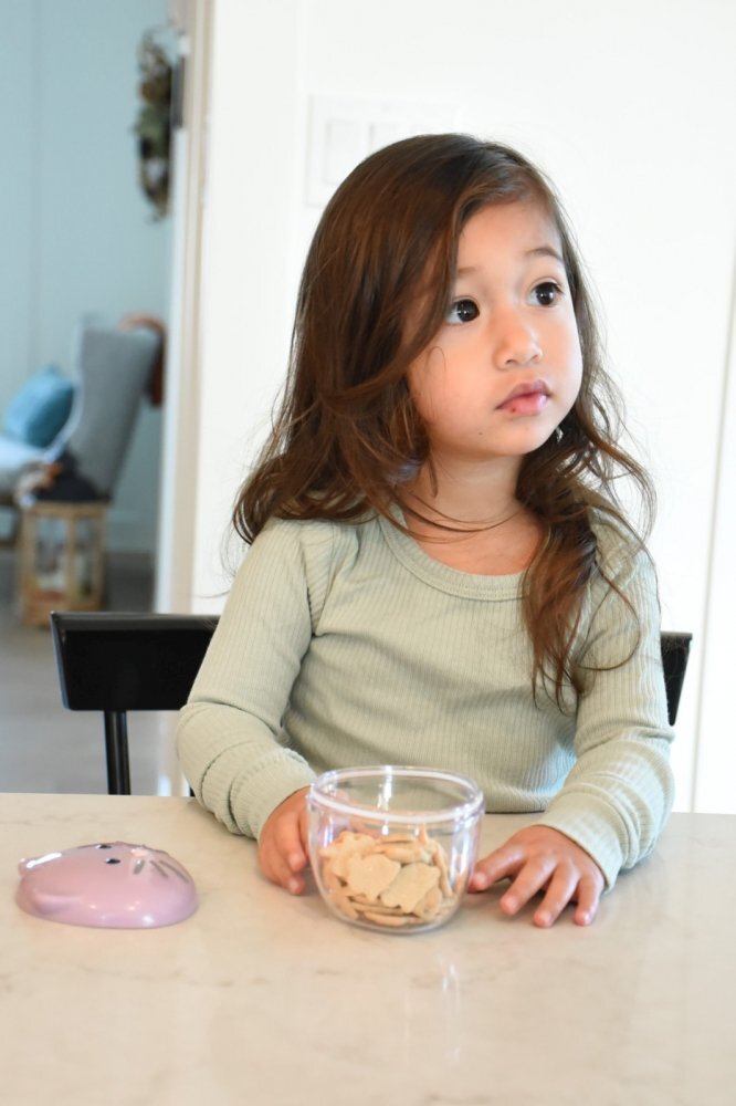 Melii Recipient hrana bebe model pisica