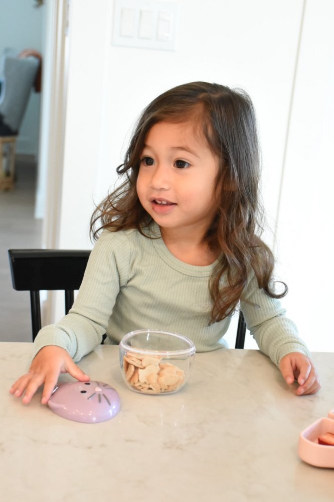 Melii Recipient hrana bebe model pisica