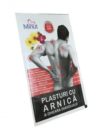 Minut Plasture cu arnica si gheara diavolului 9x14 cm