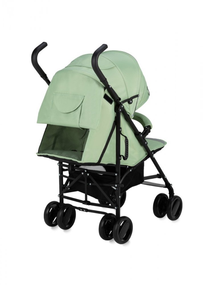Momi Carucior sport Akira green