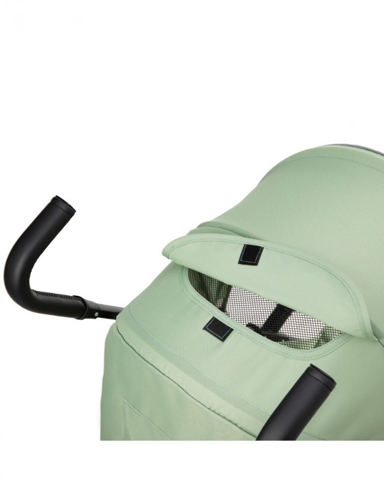 Momi Carucior sport Akira green