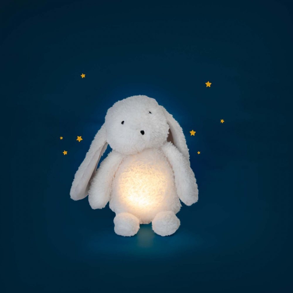 Moulin Roty Iepuras plus cu lumina de veghe pentru bebelusi
